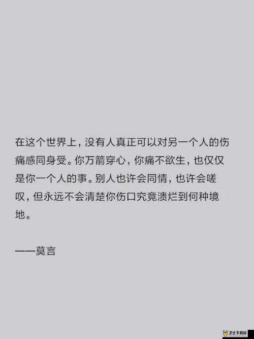 男同嗟嗟嗟很痛无马：关于这句话的深入探讨与分析